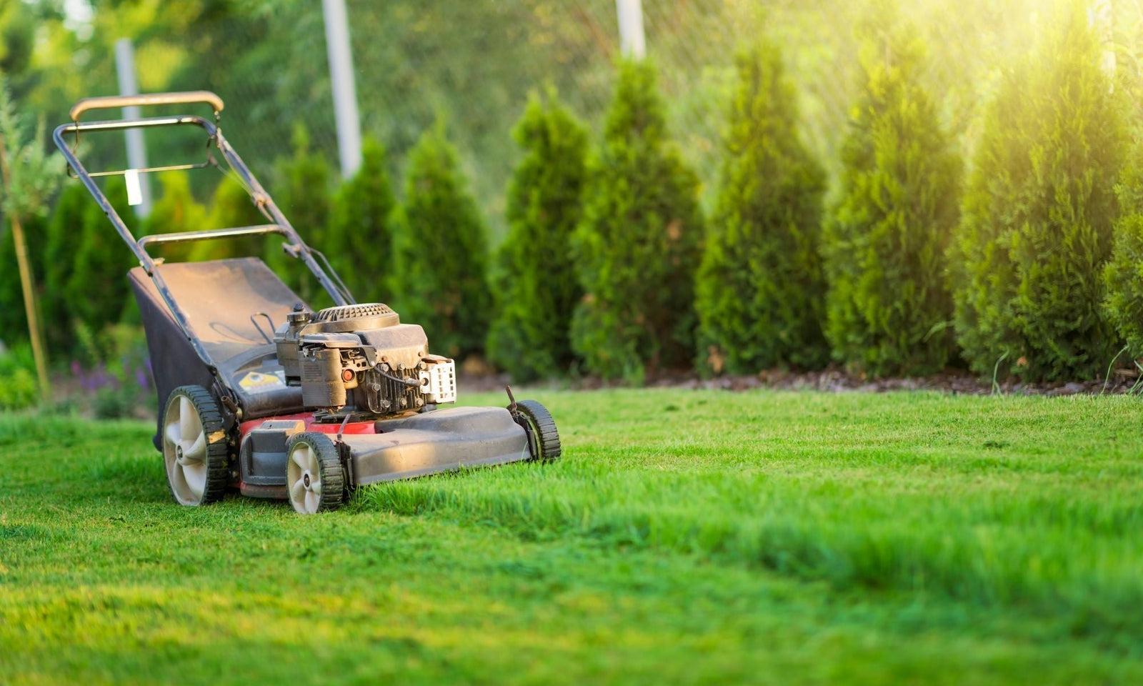 Tondre le gazon : comment faire ?