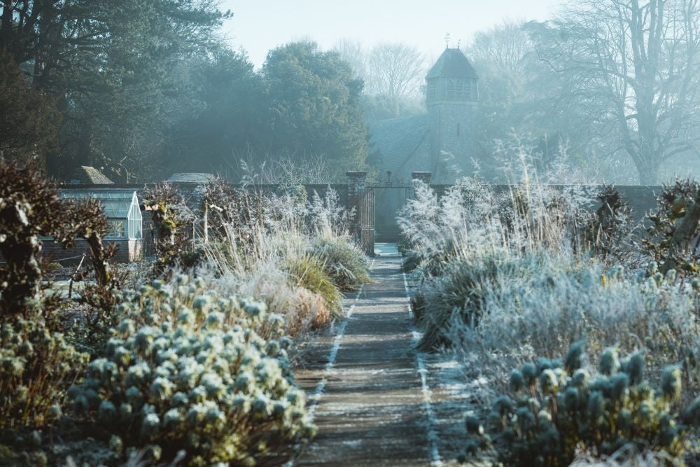 Semer en hiver