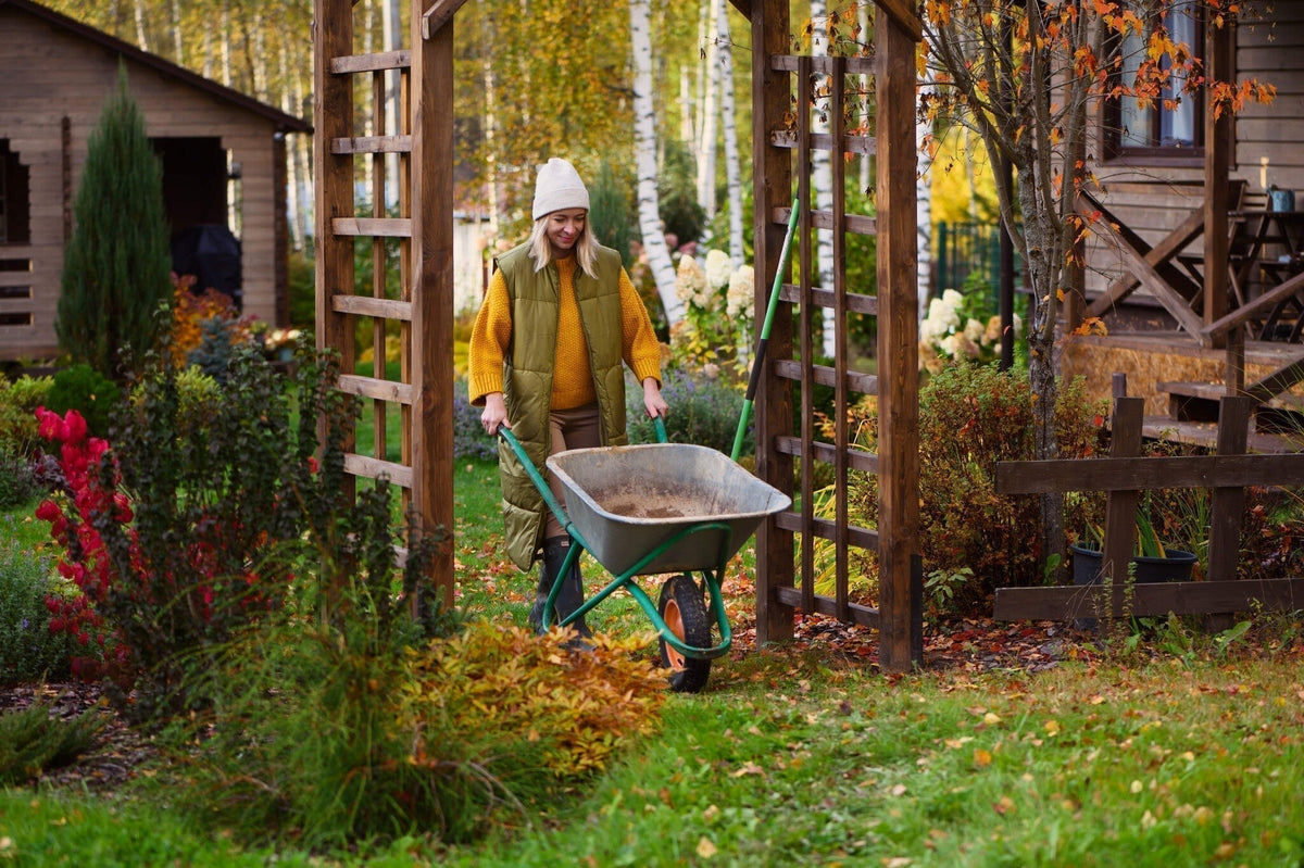 De tuin in oktober