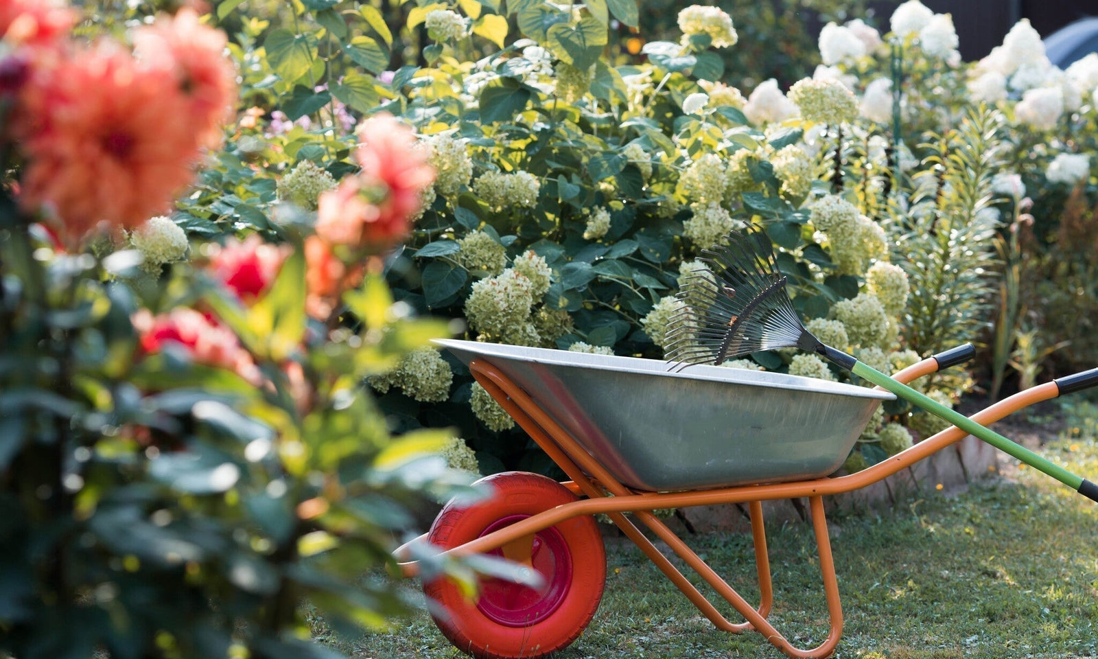 Calendrier du jardinage en septembre