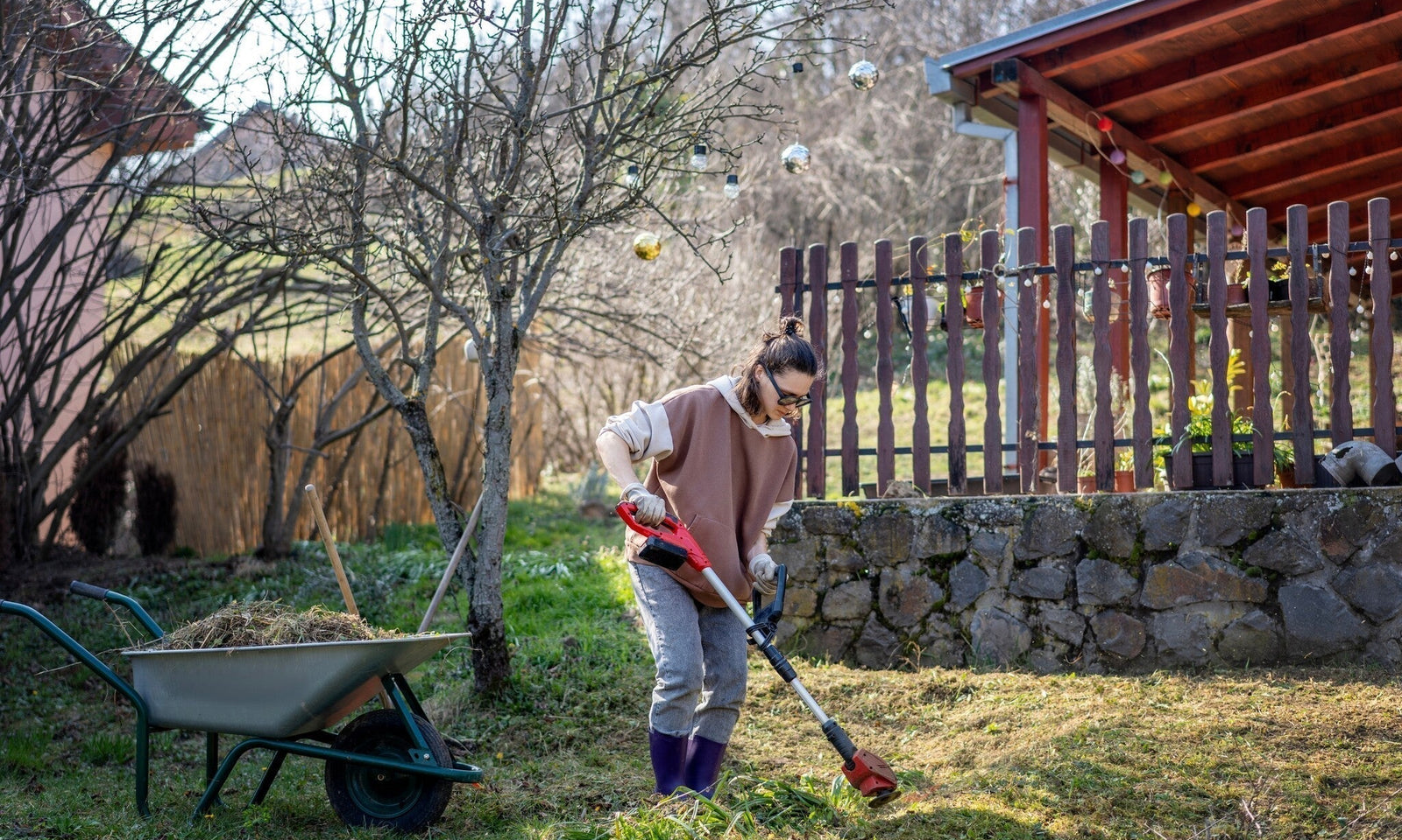 Calendrier du jardin en février : préparez votre jardin pour le printemps !