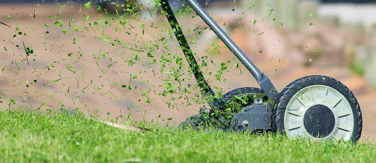 gras mulchen