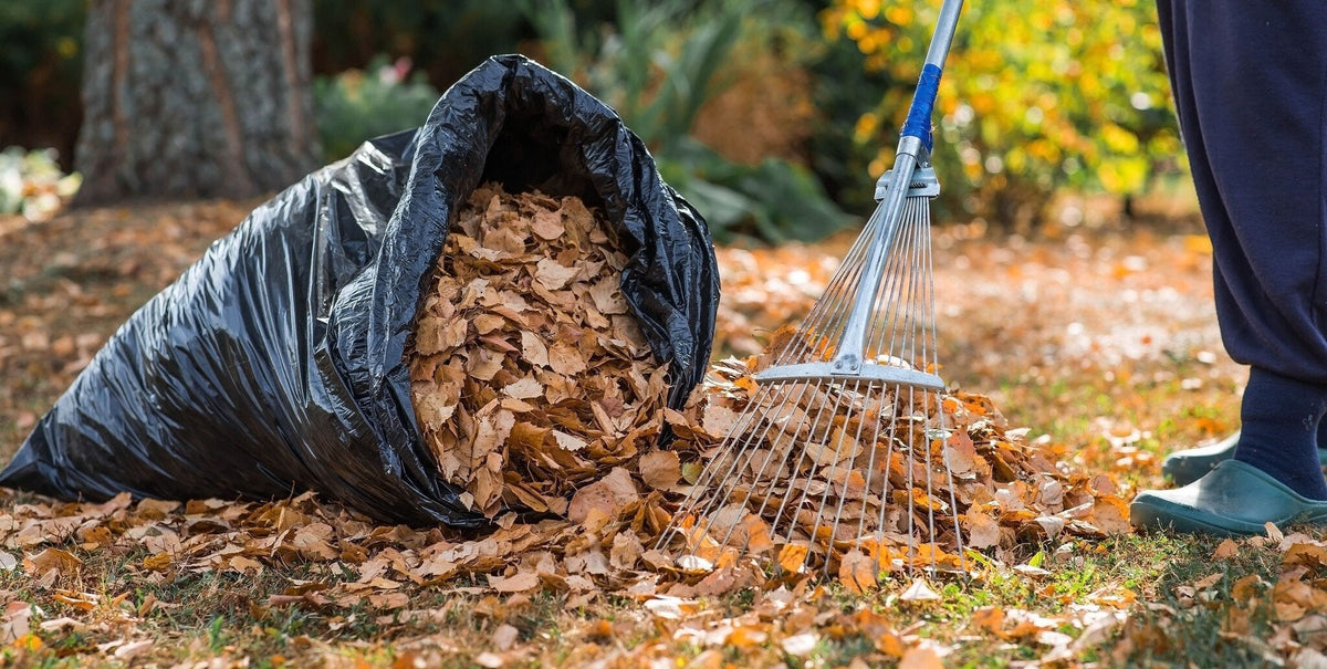 Mulch maken van herfstbladeren