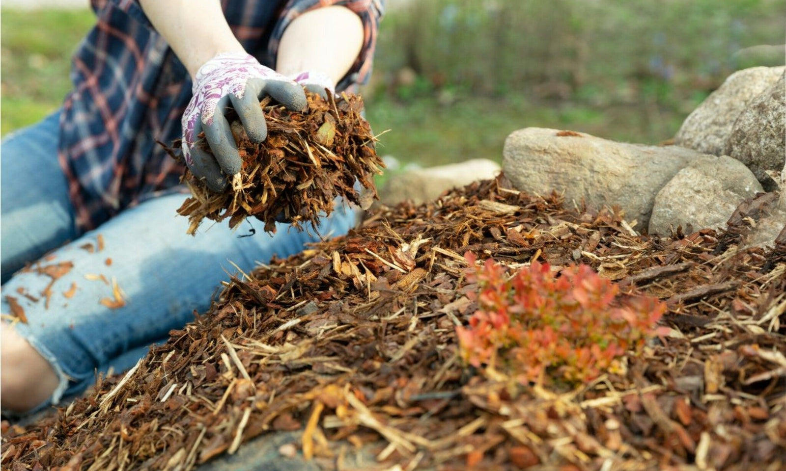 Le paillage : qu'est-ce que c'est et comment le faire ?