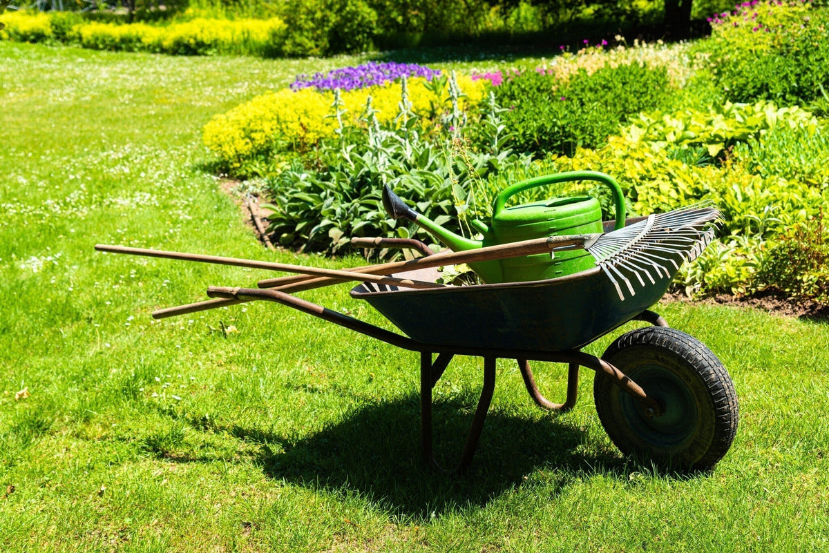 Must-have tuingereedschappen voor elke tuinier
