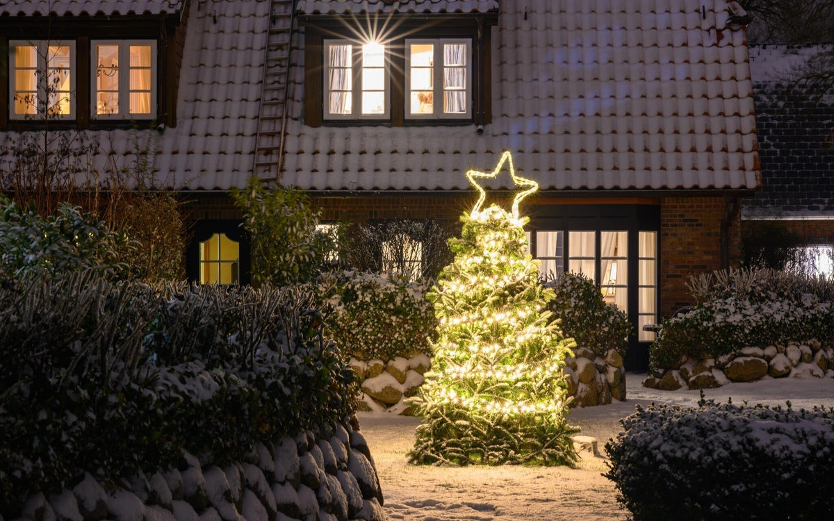 Tuinkalender december
