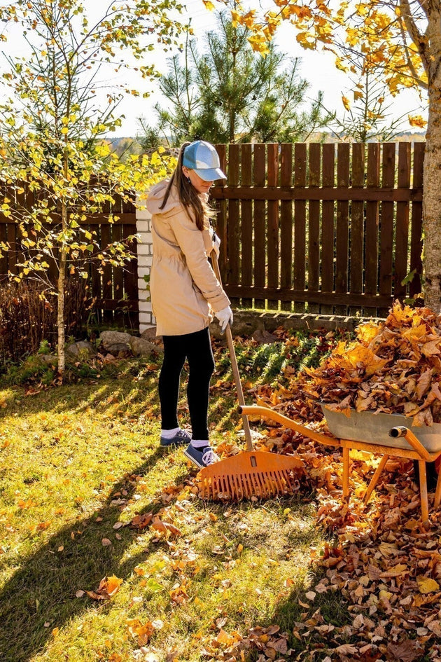 Tuinkalender november