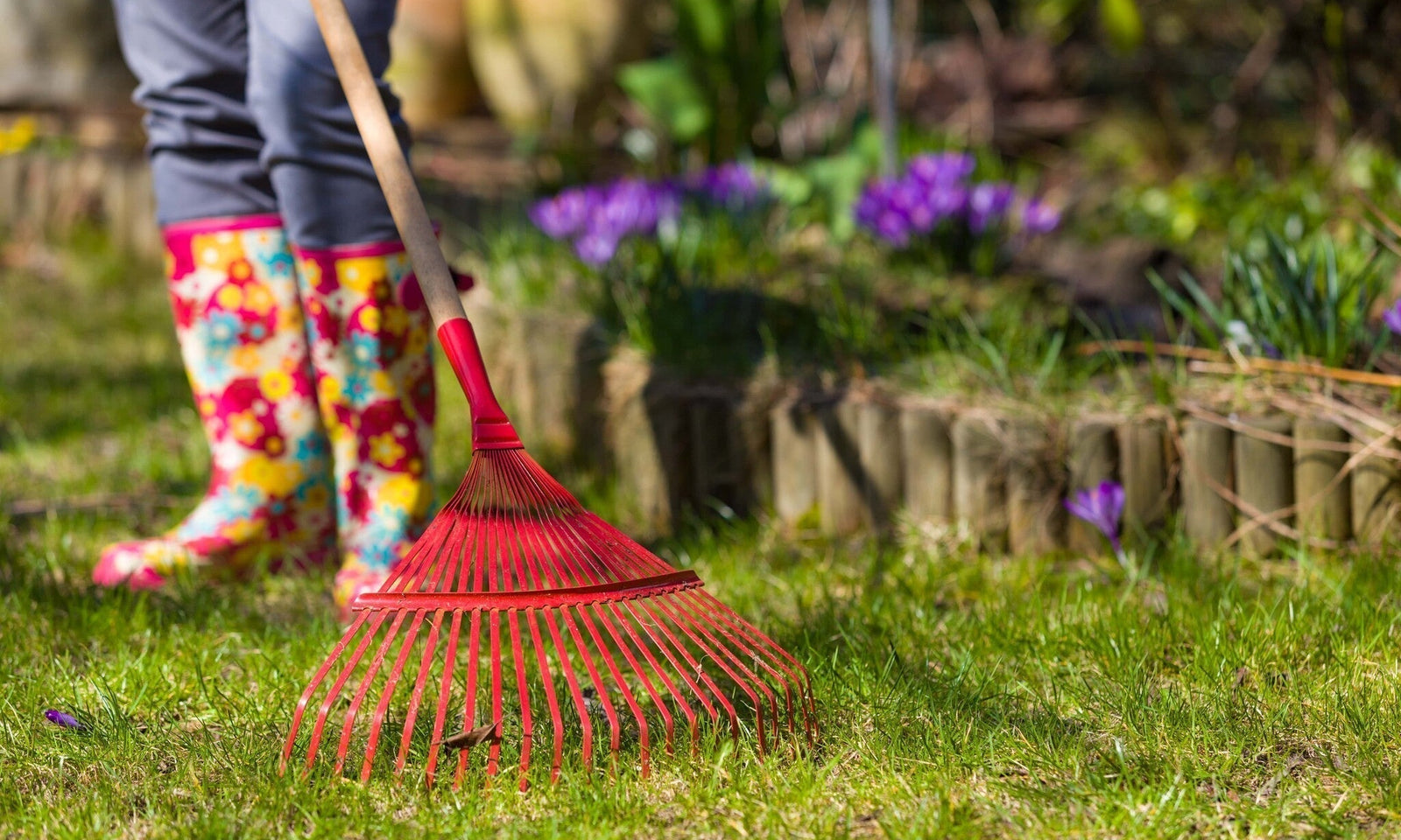 Comment entretenir son jardin au printemps ?