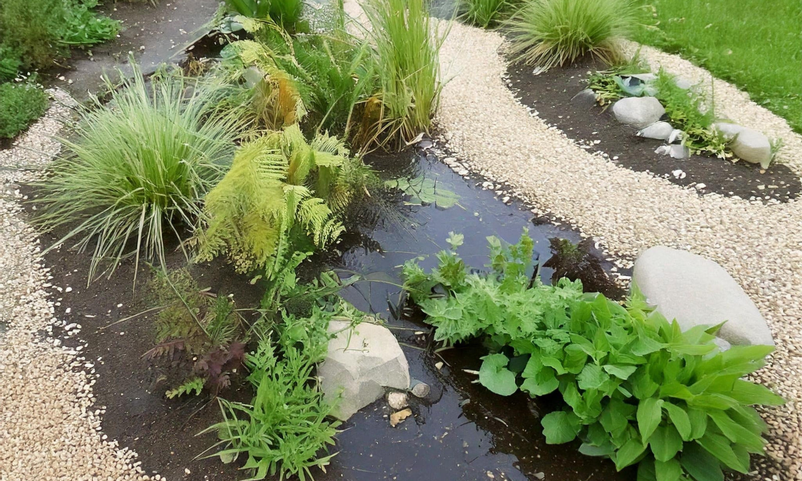 Aménagement d’un wadi dans le jardin : une solution écologique pour gérer l’eau de pluie