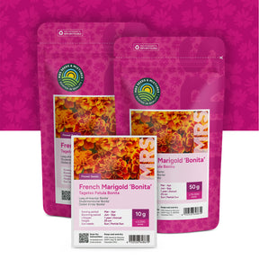 Tagetes – Œillet d'Inde 'Bonita'