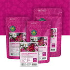 Cosmos bipenné – Cosmos Sensation Mix
