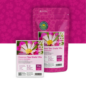 Cosmos – Melange 'Sea Shells'