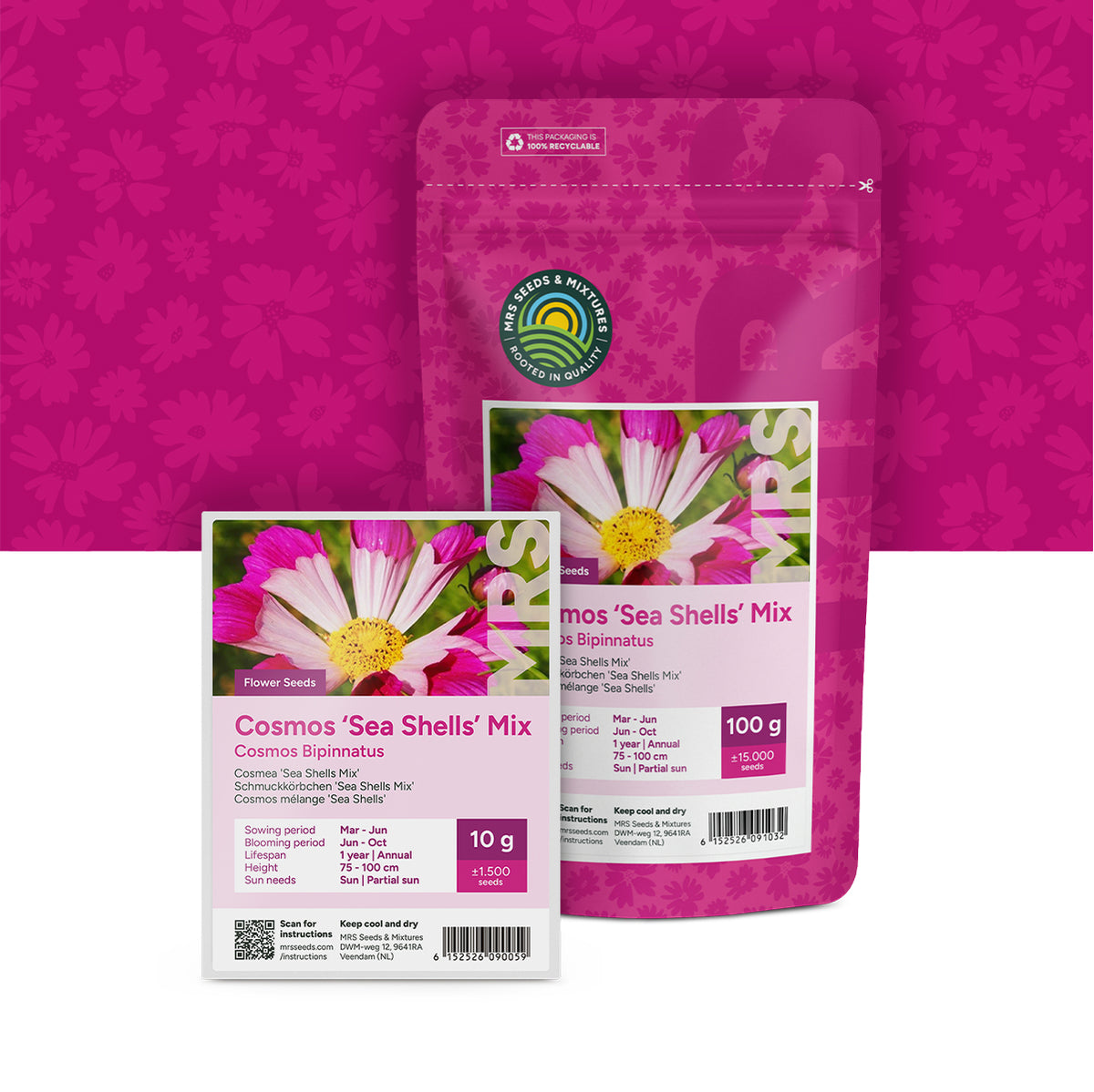 Cosmos – Melange 'Sea Shells'