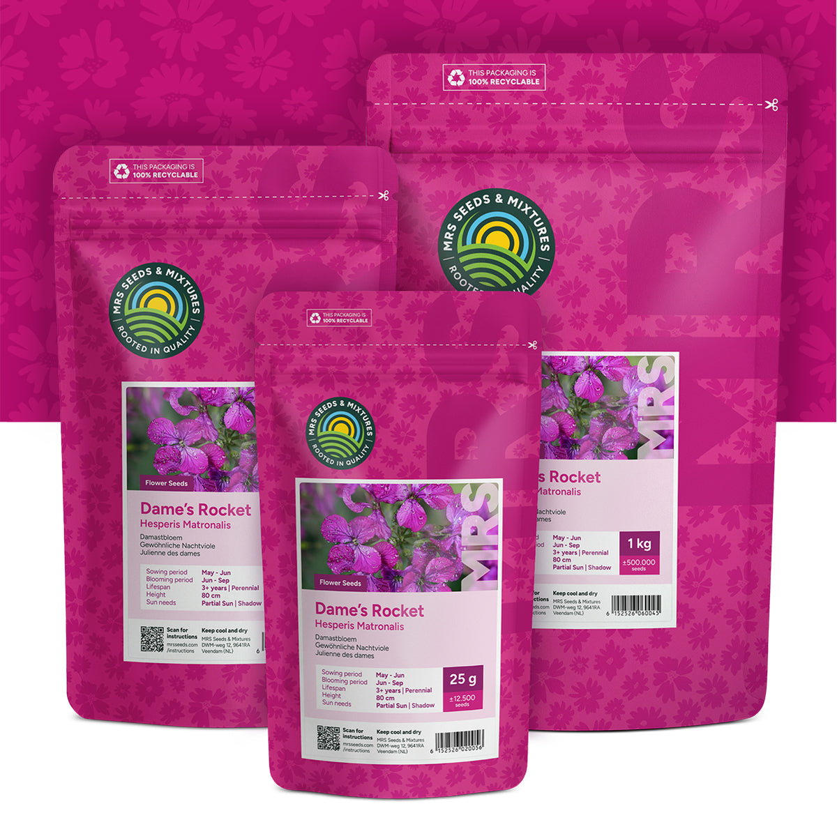 Julienne des dames – Hesperis matronalis