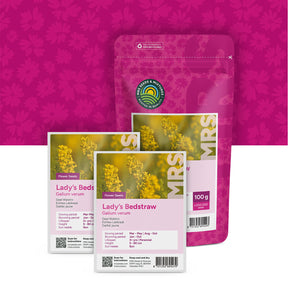 Caille-lait jaune – Galium verum