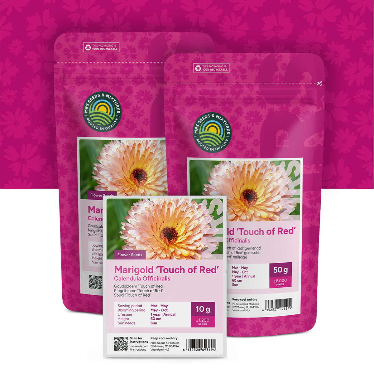 Souci 'Touch of Red' – Calendula