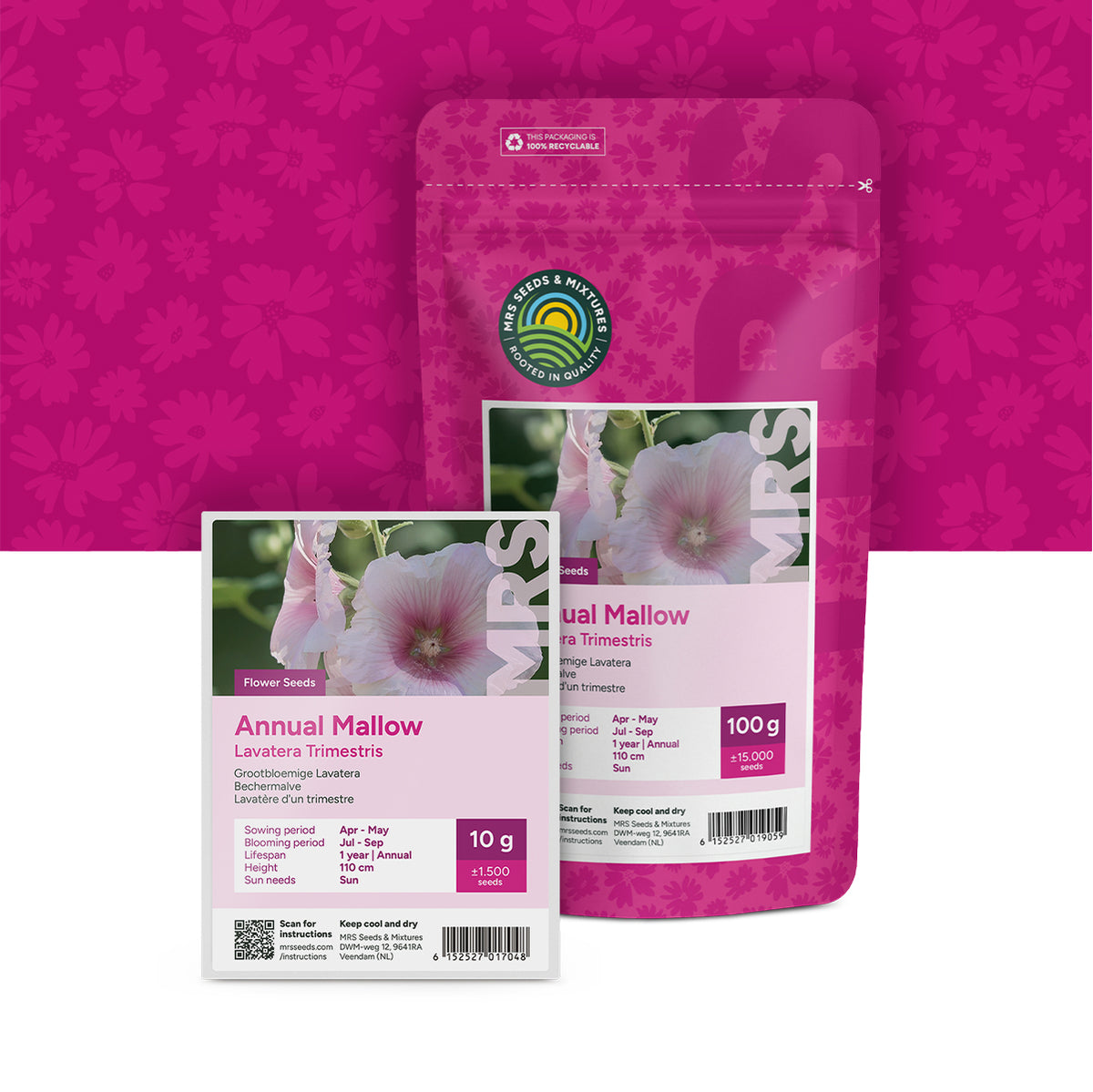 Lavatère d'un trimestre – Lavatera trimestris