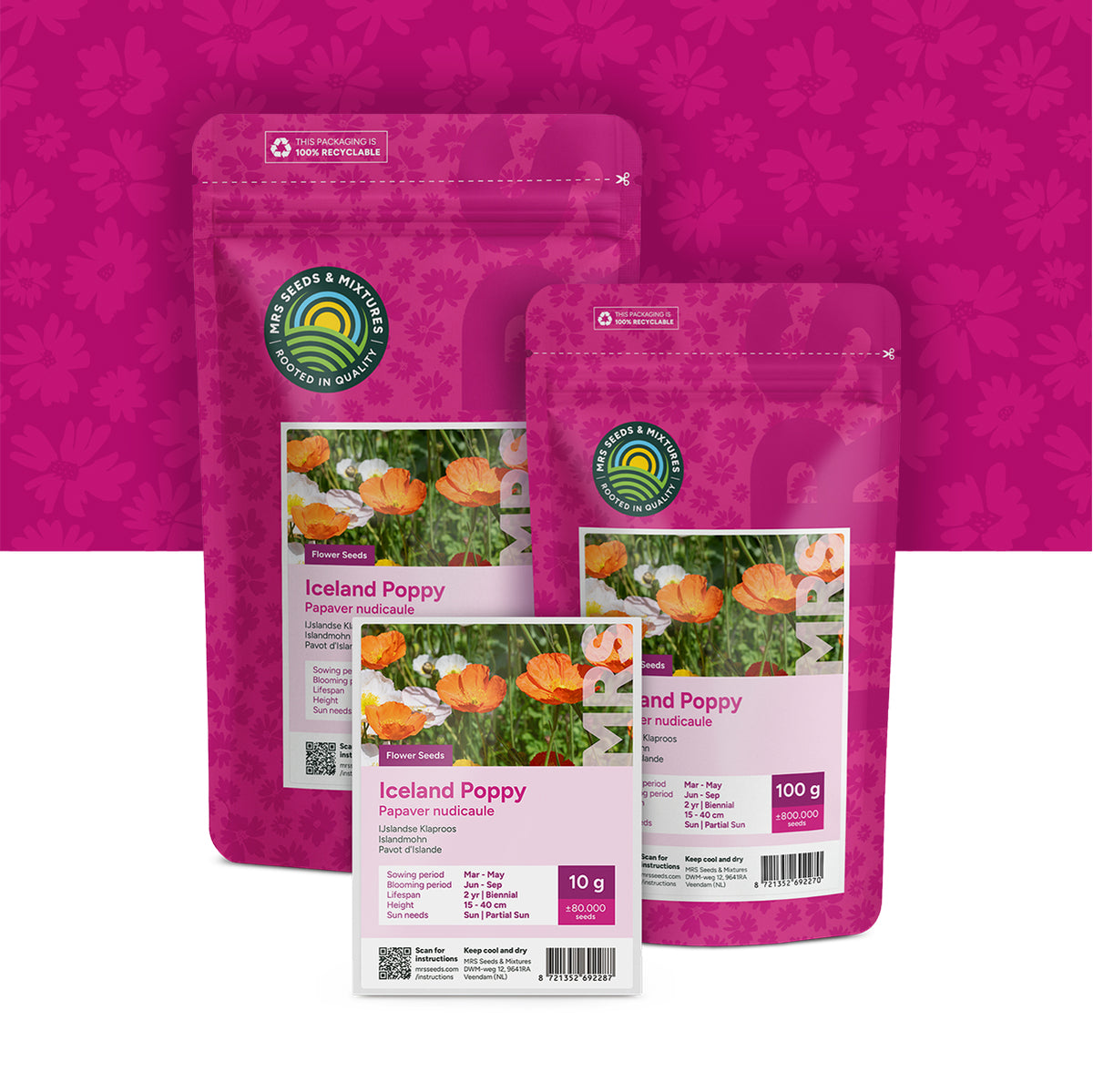 Pavot d'Islande – Papaver nudicaule