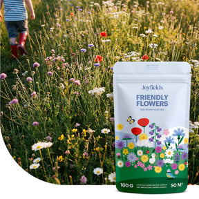 Friendly Flowers – Mélange de fleurs indigènes pour prairies de jeu