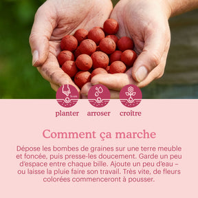 let-love-grow-flower-seeds-bombs-manual [fr]
