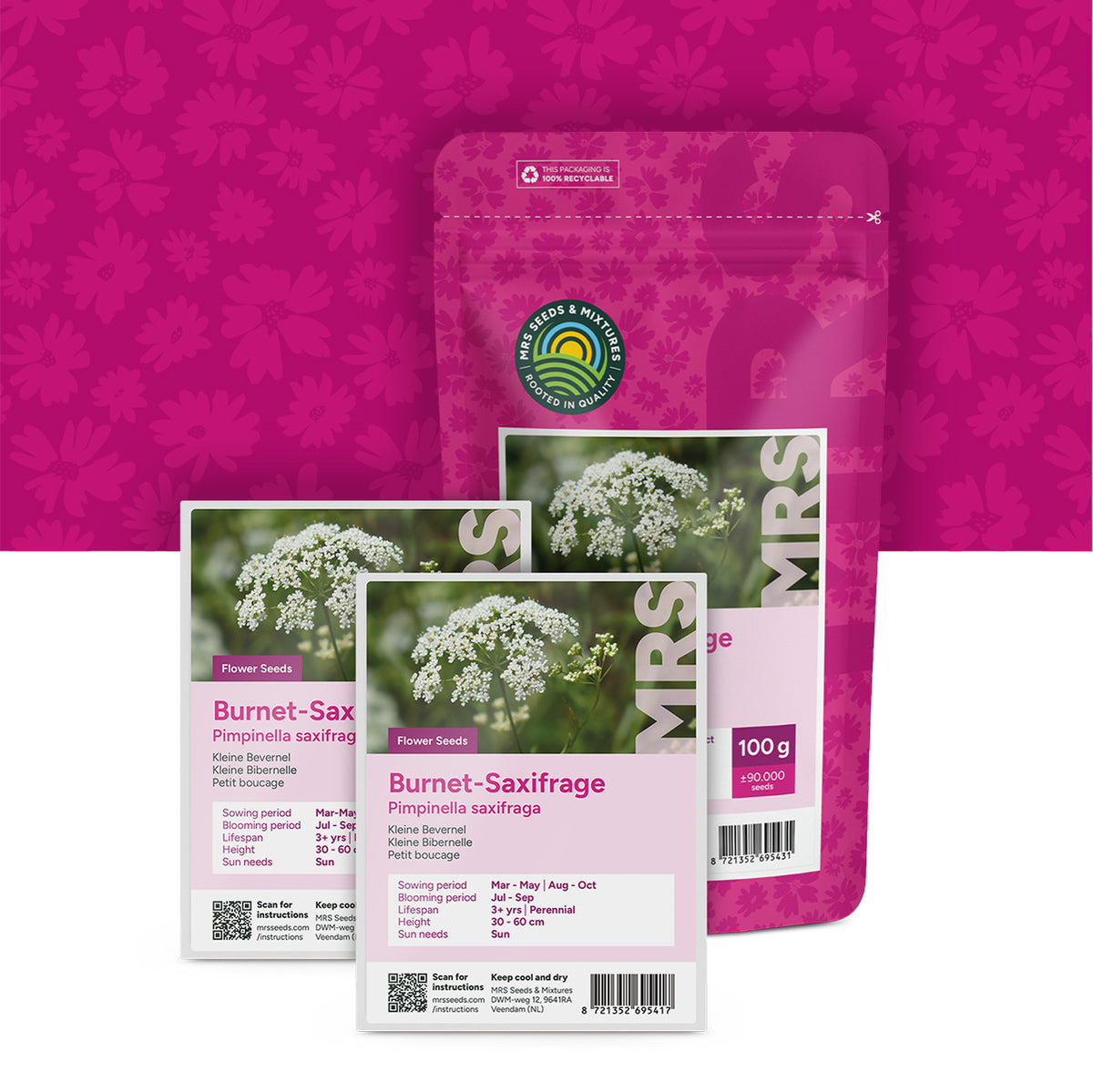 Petit boucage – Pimpinella saxifraga