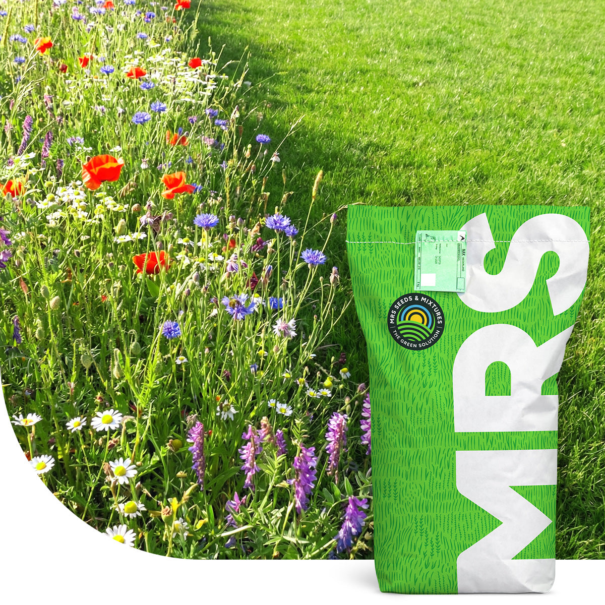 Mélange de bordures de champs riches en herbes