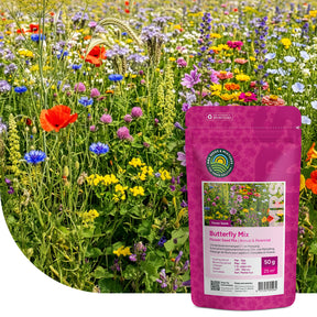 Mélange de fleurs pour papillons