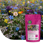 Mélange de fleurs pour abeilles Tübinger