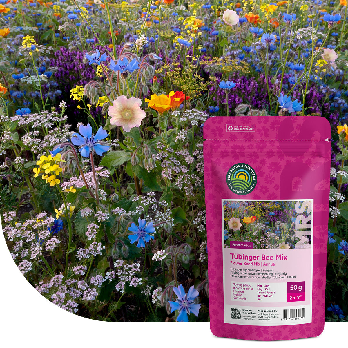 Mélange de fleurs pour abeilles Tübinger