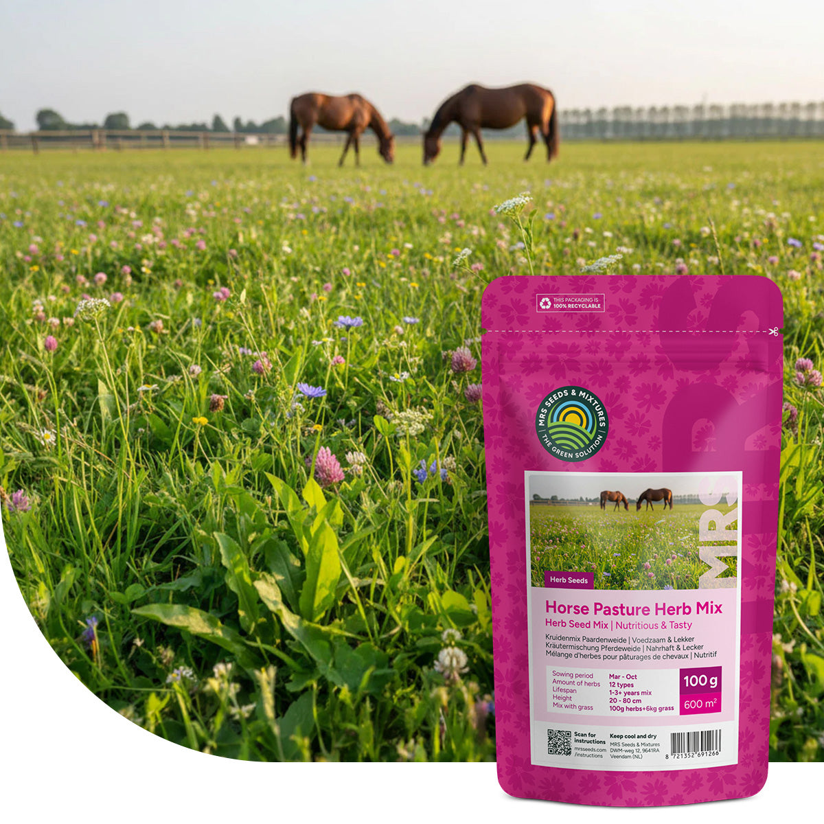 Mélange d'herbes pour pâturages de chevaux