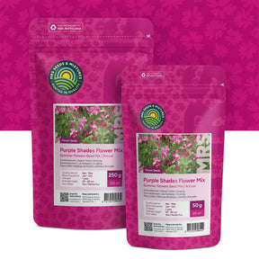 Fleurs d'été – Mélange de teintes violettes