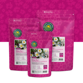 Mélange de marguerites 1 – Indigène