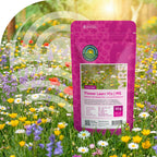 Type M5 – Mélange pelouse fleurie – riche en nectar