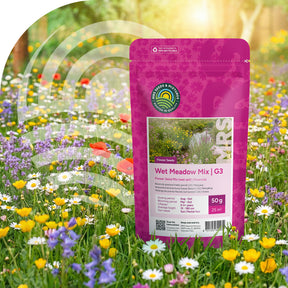 Type G3 – Prairie fleurie – Sol humide