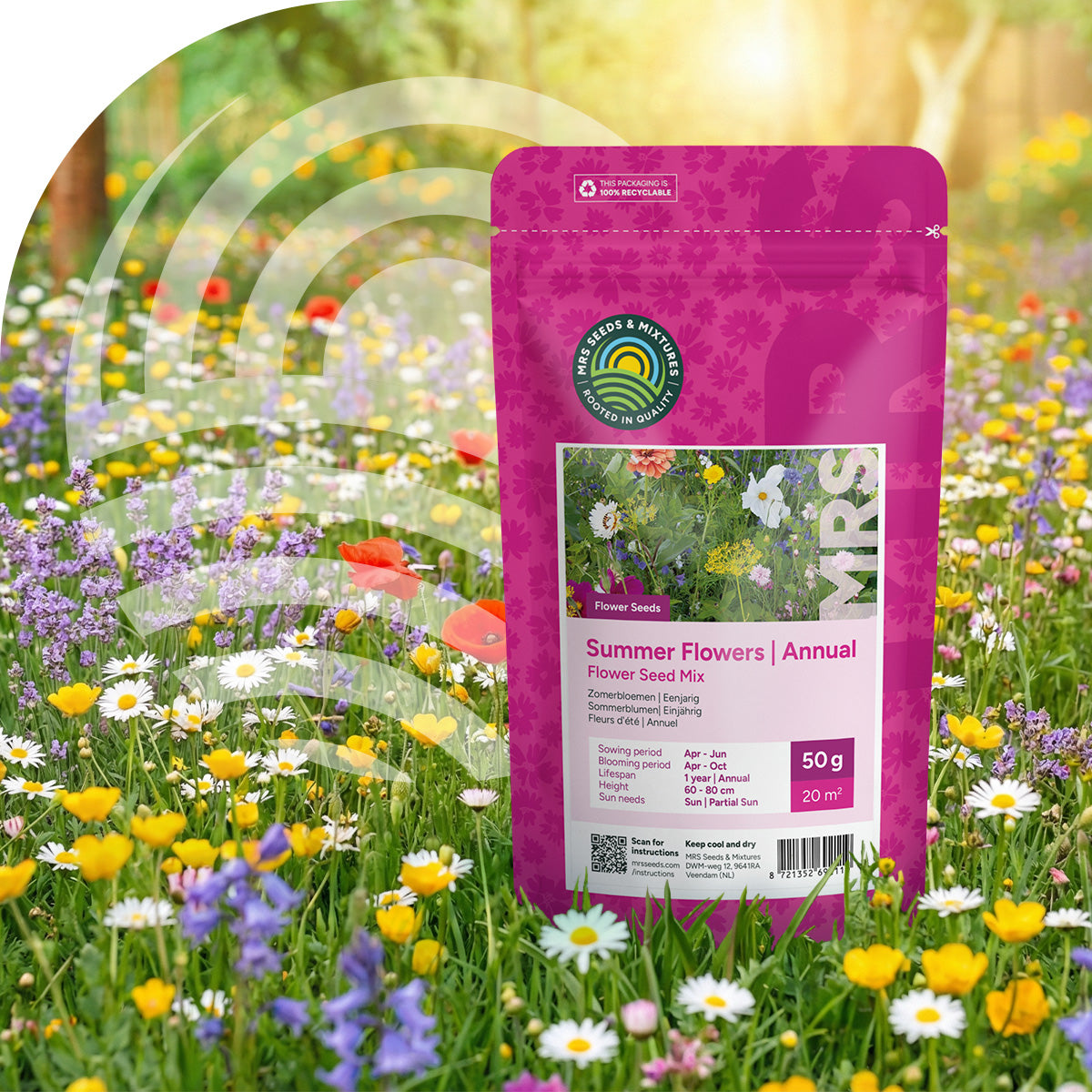 Mélange de fleurs d'été annuel