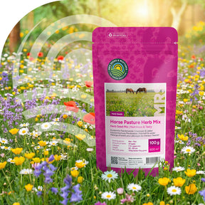 Mélange d'herbes pour pâturages de chevaux