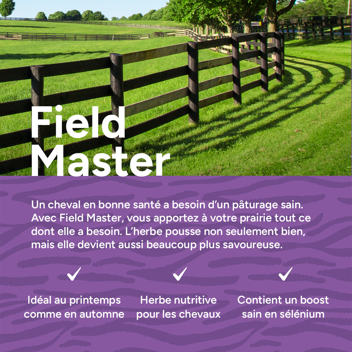 MRS-Seeds-FR-3-USP [fr]