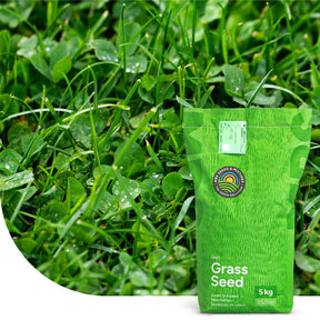 Clover Lawn – Semences de gazon avec micro-trèfle
