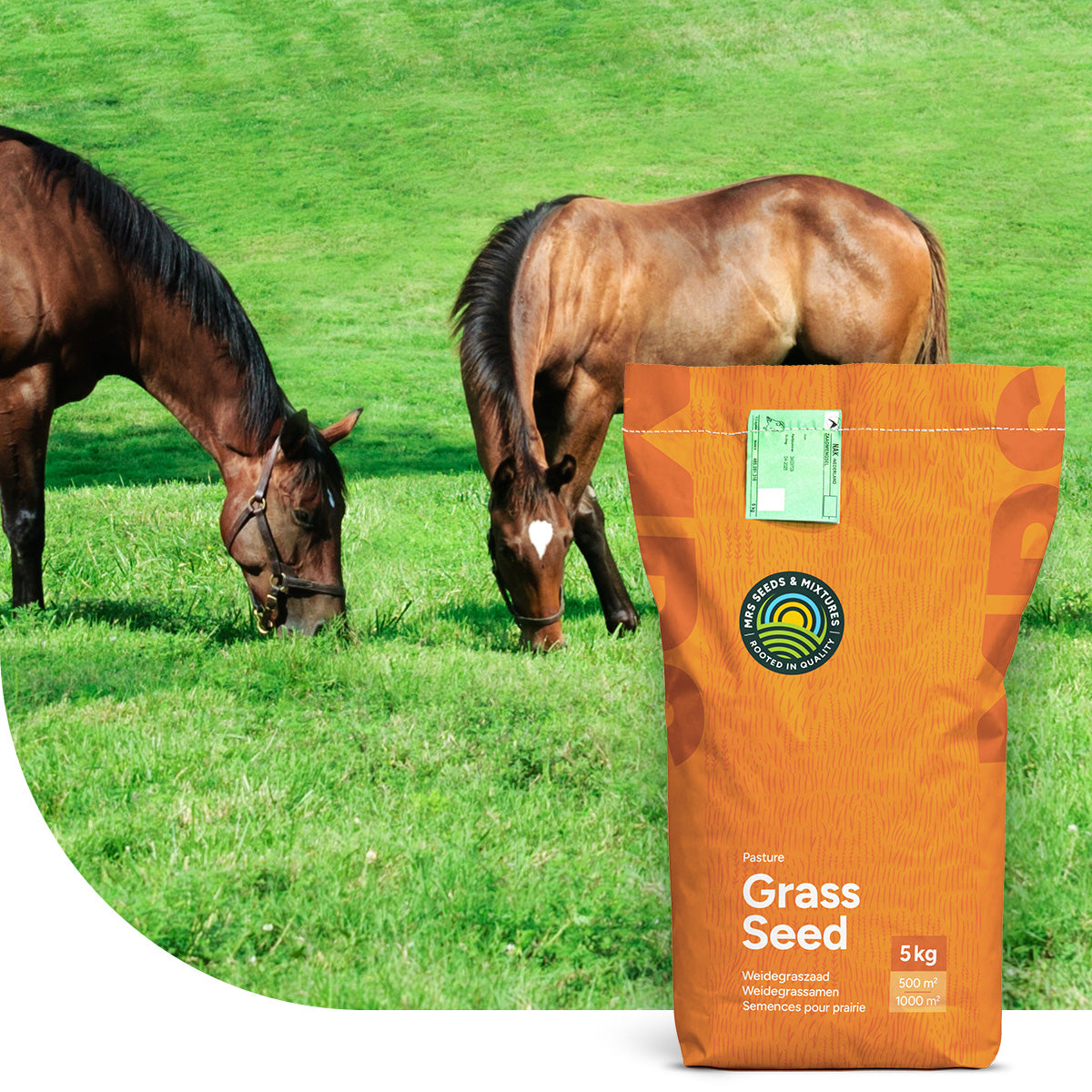 Horse – Prairie pour chevaux | Faible teneur en fructane