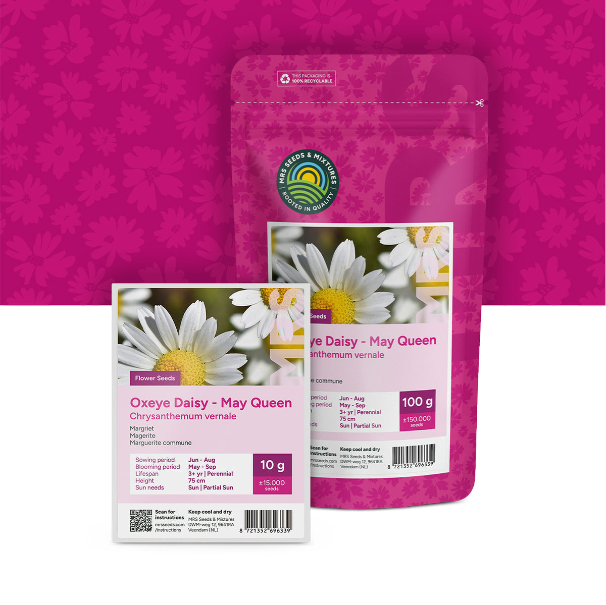Leucanthemum – Chrysanthemum vernale