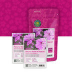 Pétunia nana compacta – Rose of Heaven