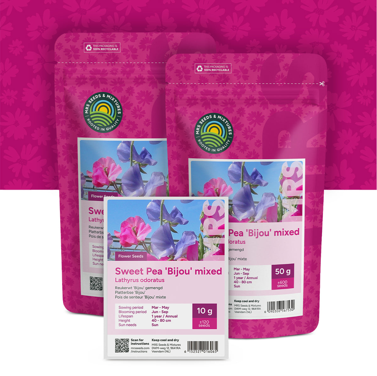 Pois de senteur 'Bijou' mixte – Lathyrus odoratus