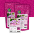 Pois de senteur 'Cupid Rose' mixte