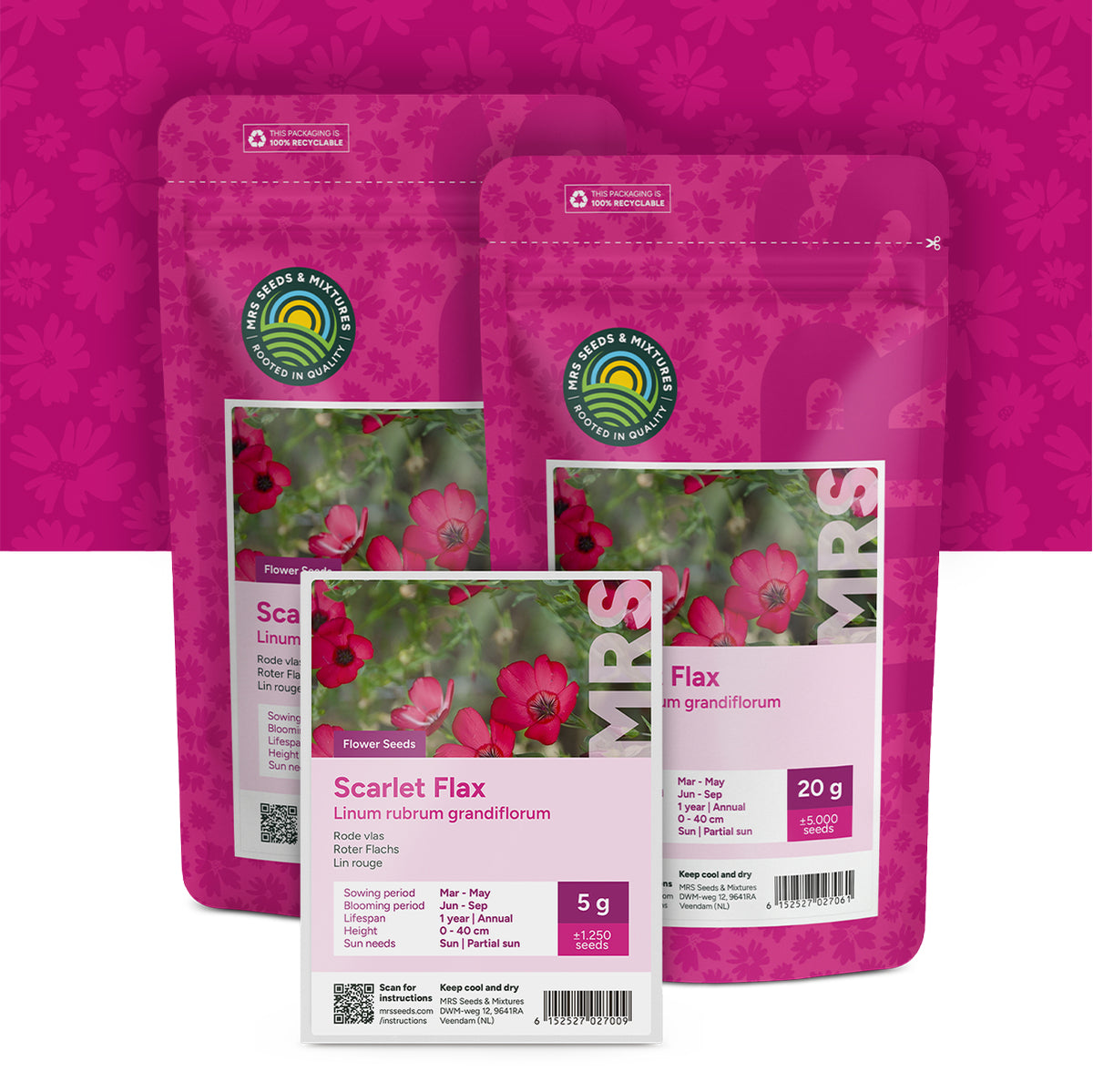 Lin rouge – Linum Rubrum Grandiflorum