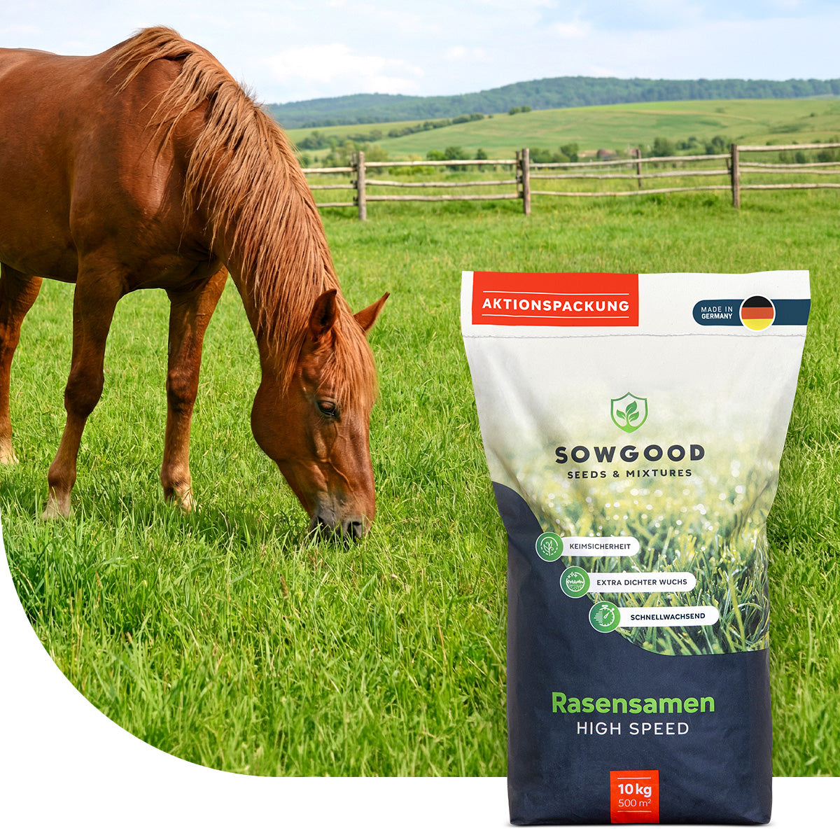 Prairie pour chevaux – Fructane faible