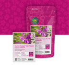 Balsamine des jardins – Impatiens balsamina