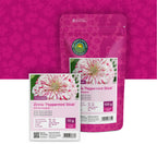 Zinnia elegans-Peppermint Stick