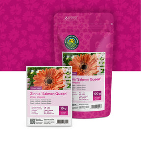Zinnia elegans-Salmon Queen