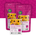 Echinacea 'Marmelade' – Rudbeckia hirta