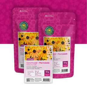 Echinacea 'Marmelade' – Rudbeckia hirta